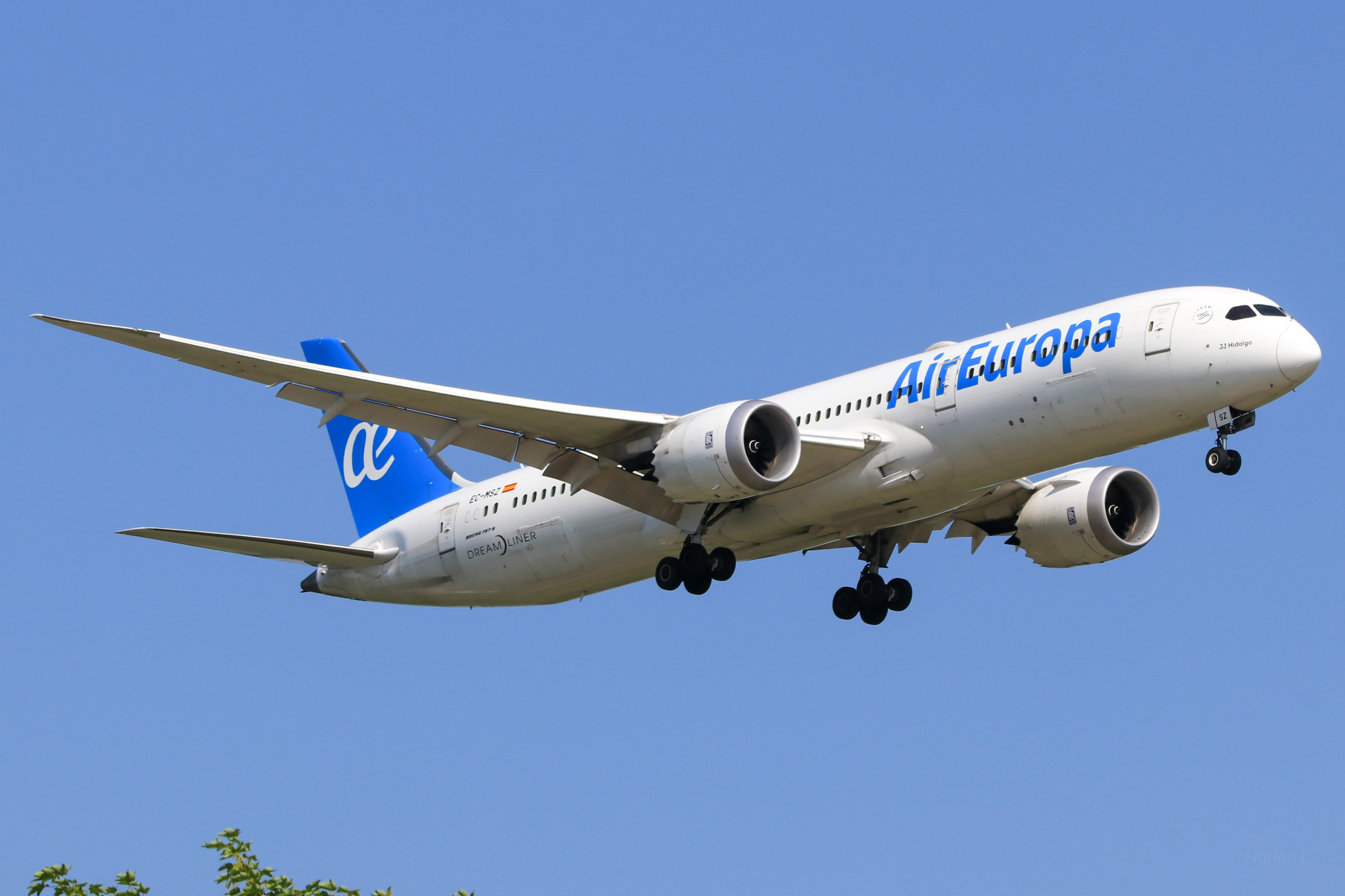 Air Europa B787-9
