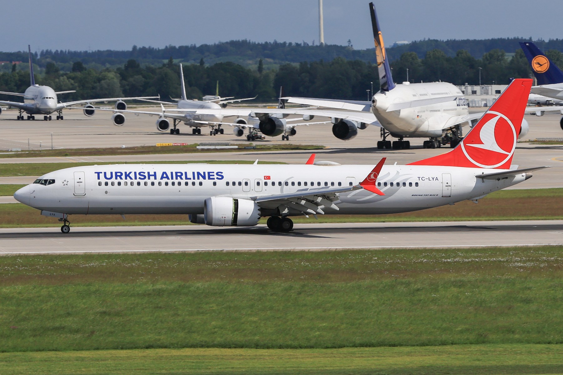 7X5A3146-Bearbeitet-Bearbeitet